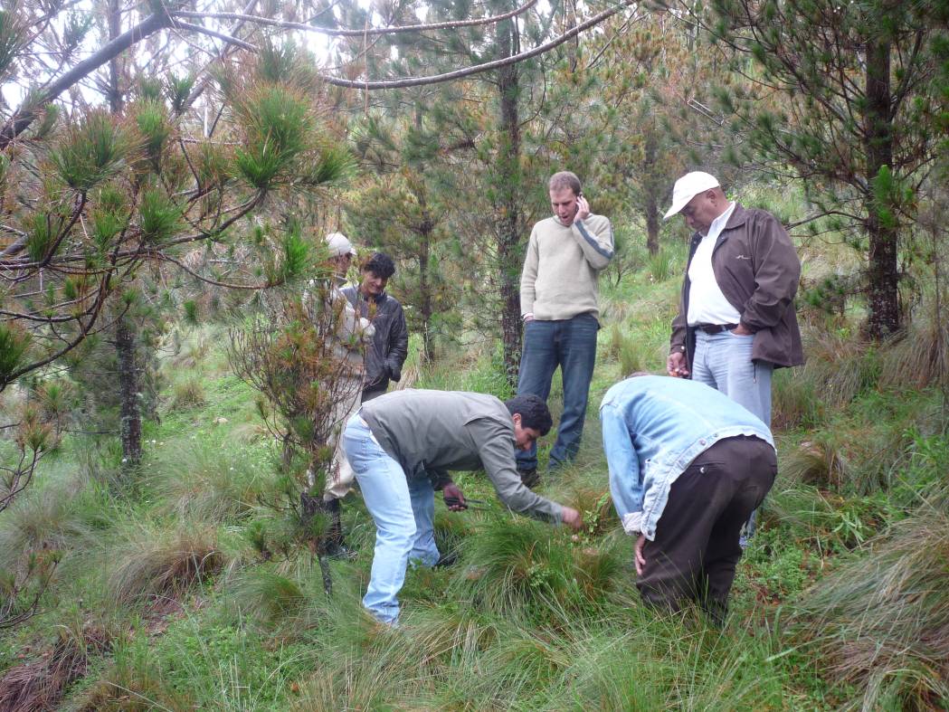 Pedro Martinto, representante de la Empresa VILLA ANDINA visitando cultivos de hongos de pino en Combayo