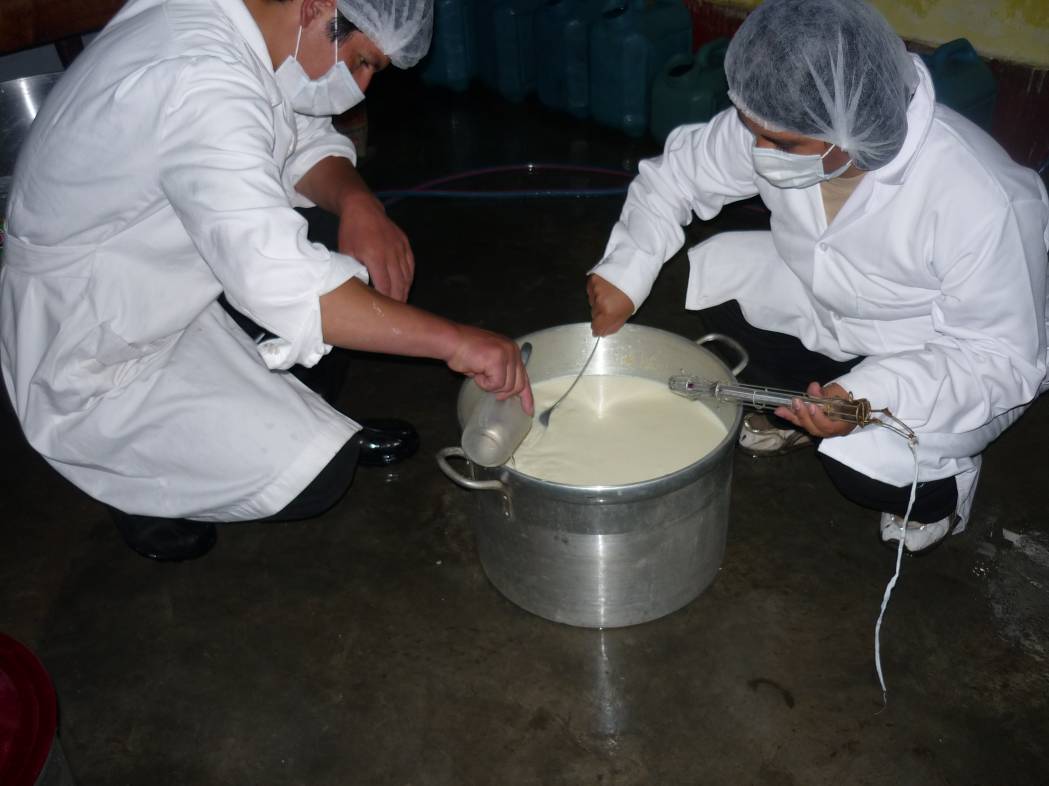 Capacitación a productores de Queso Conga en Jadibamba - Celendín