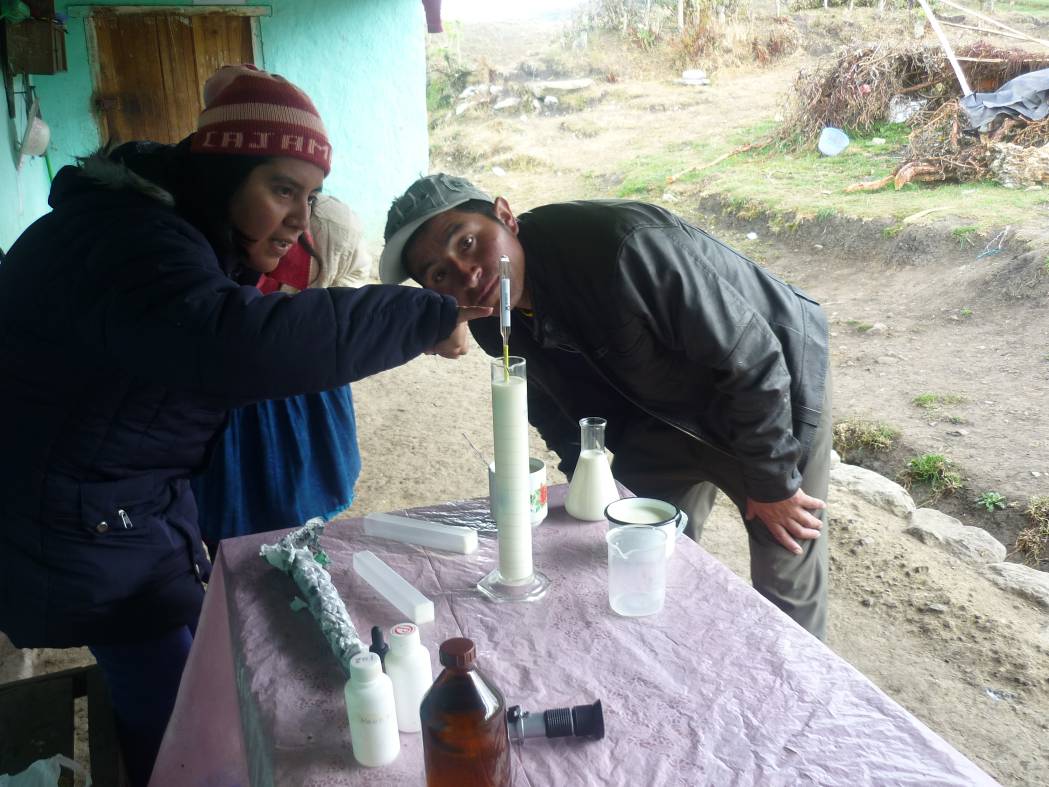 Capacitación a productores de Queso Conga en Jadibamba - Celendín